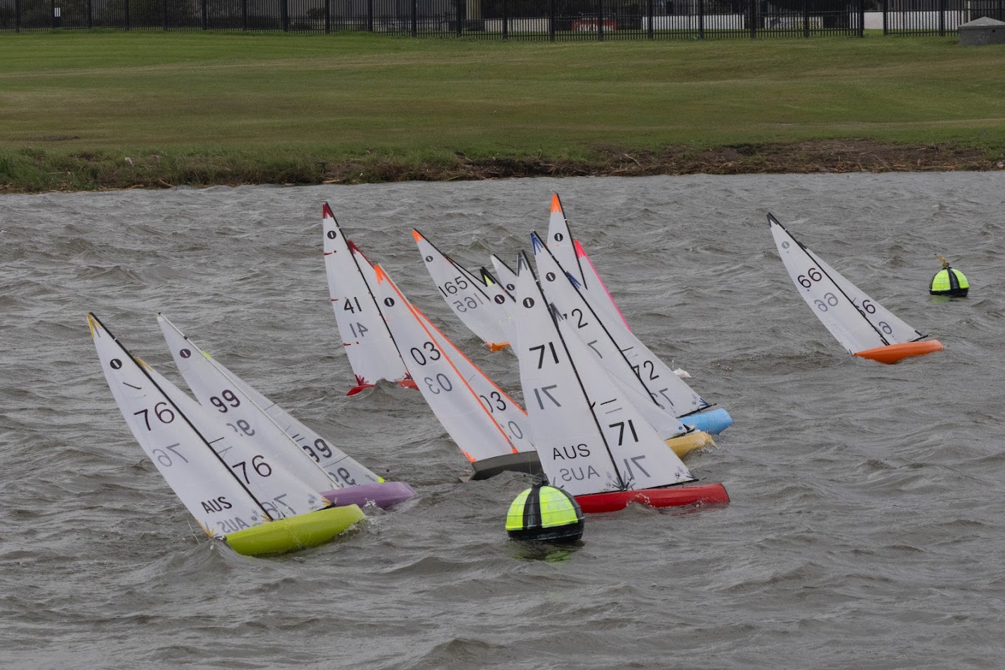 Albany/IOM/2025 regatta 2.jpg